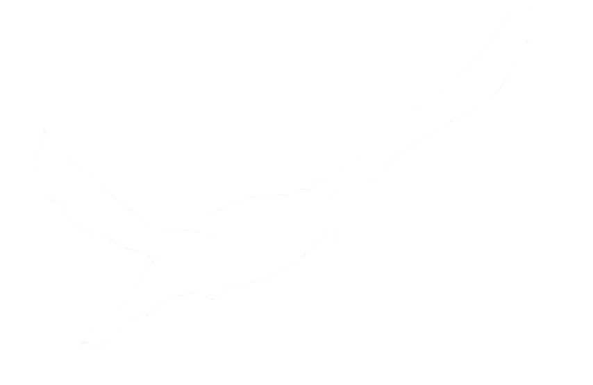 Larrk Image